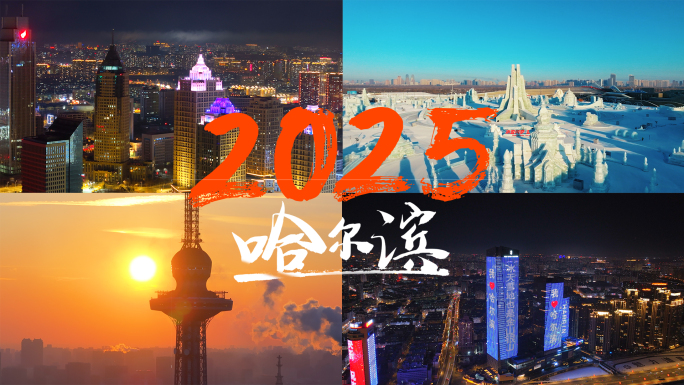 哈尔滨城市风光 冬季航拍