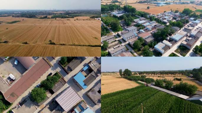 北方农村麦收后航拍