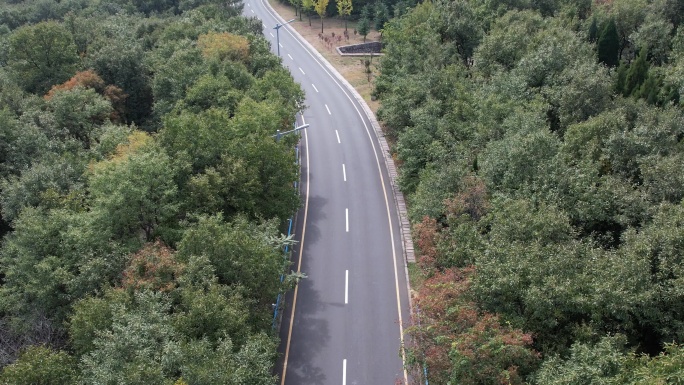 绿色生态公路航拍