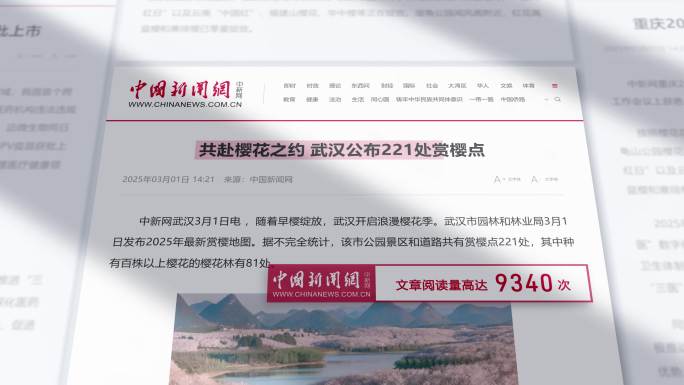 新闻网媒体热点报道头条网页展示