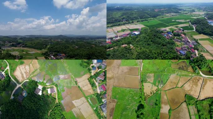 稻田村庄自然风光航拍