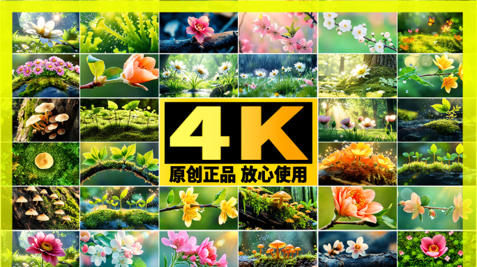 【精品 万物生长开花】春天春雨种子发芽