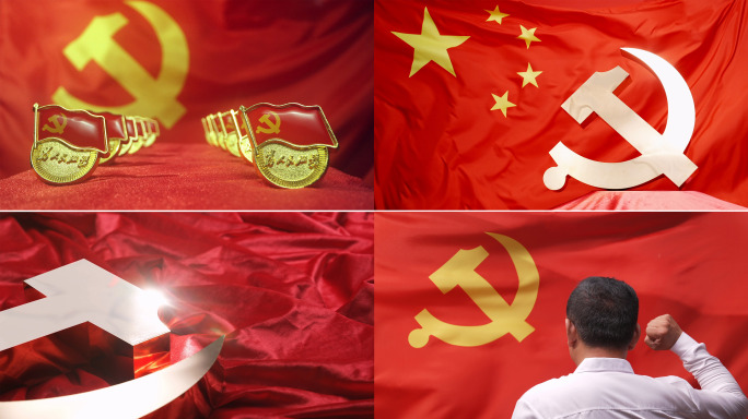 党建党政党旗国旗党章入党宣誓宪法红色党徽