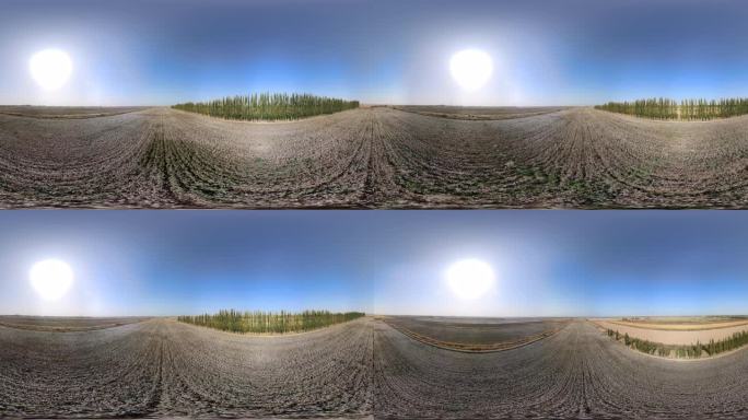 新疆棉花地 VR8K全景航拍
