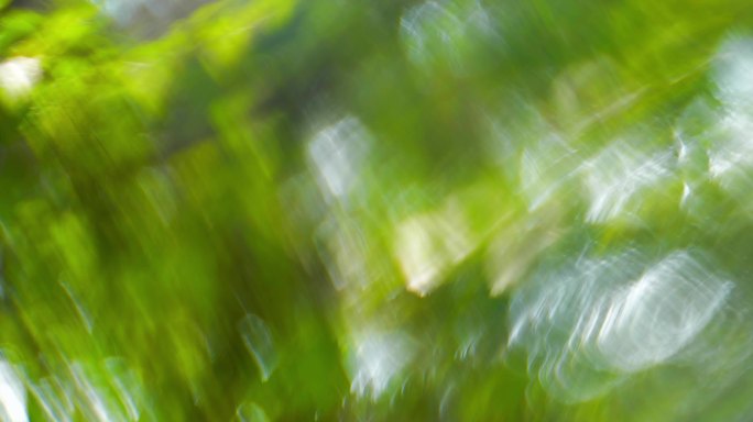绿色植物虚幻梦境氛围感