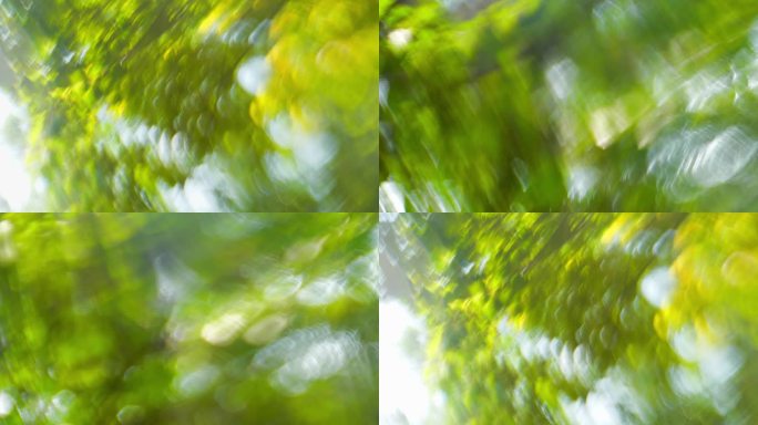 绿色植物虚幻梦境氛围感