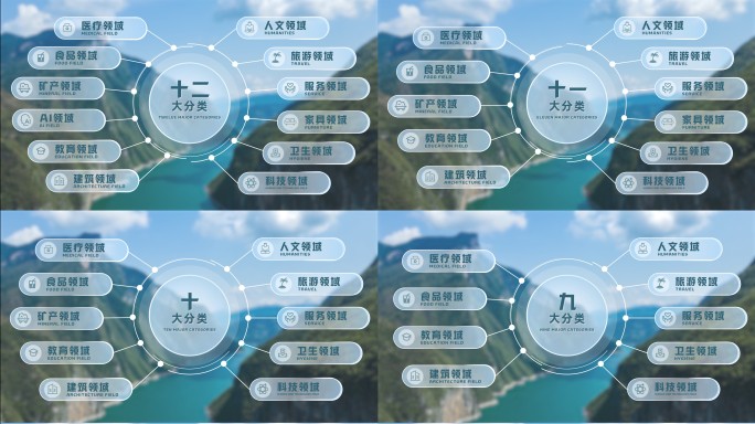 1-12大分类