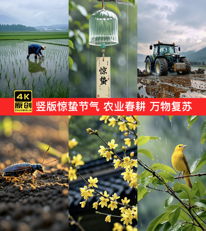 竖版惊蛰节气 农业春耕 万物复苏
