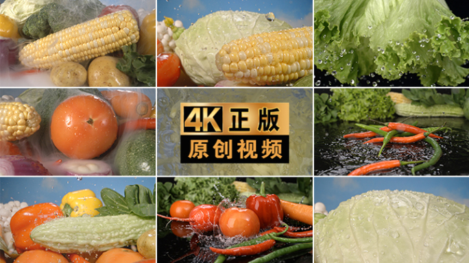 新鲜蔬菜食材特写蔬菜合集绿色蔬菜