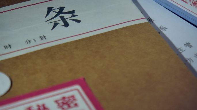 保密文件涉密文件档案 国家特级保密文件