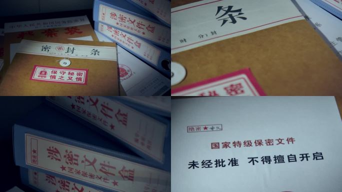保密文件涉密文件档案 国家特级保密文件