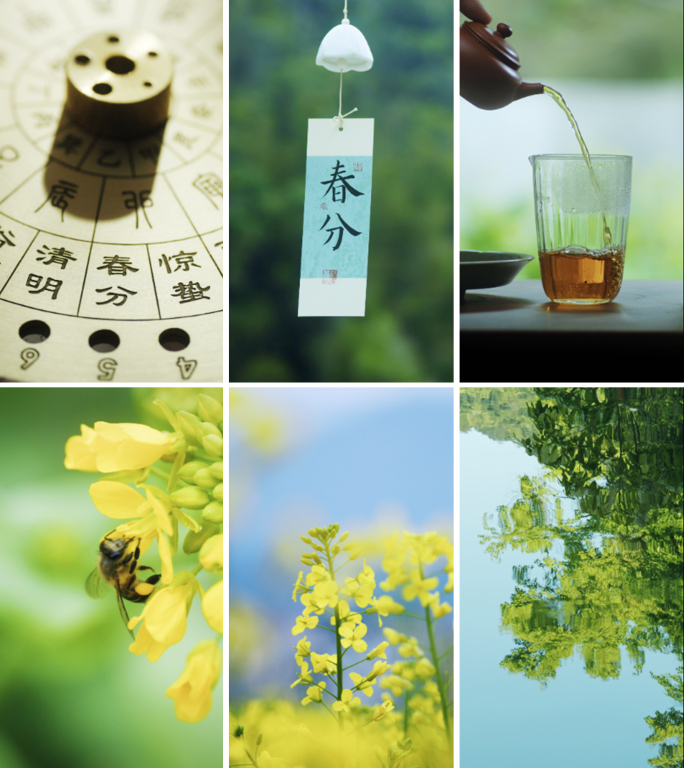 【春分竖版】春天茶香鸟语花香节气风景视频