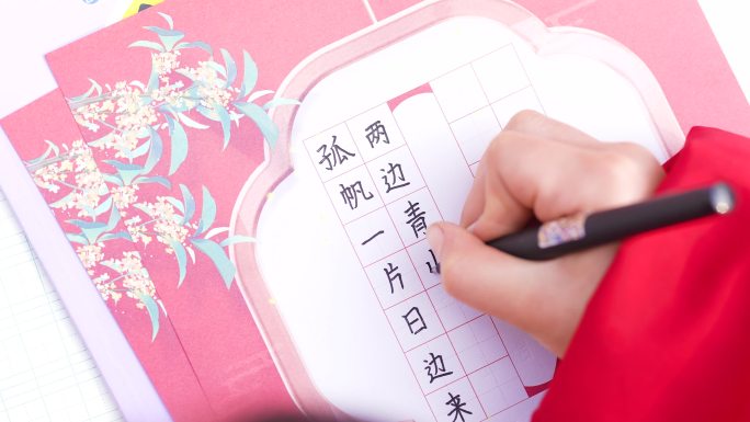 硬笔书法练习与传承 日积月累练书法