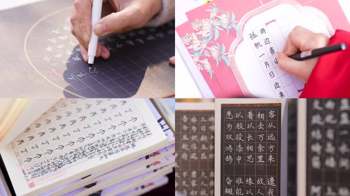 硬笔书法练习与传承 日积月累练书法