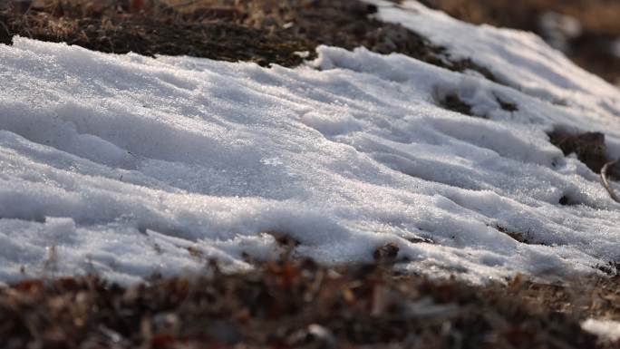 融雪
