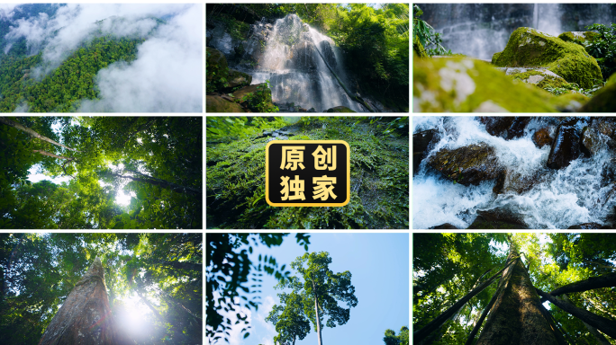 森林树木瀑布溪流河流雨水水滴自然生态环境