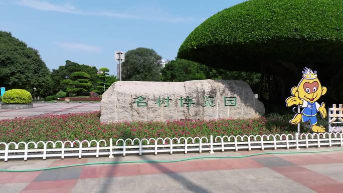 广西壮族自治区南宁市名树博览园风光航拍