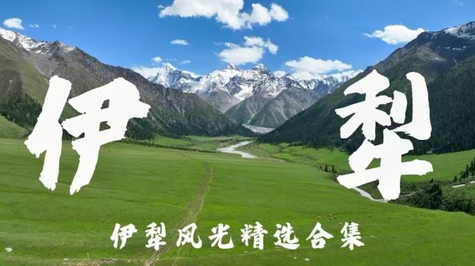 新疆伊犁草原合集