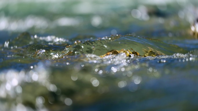溪流流水清澈的小溪河水