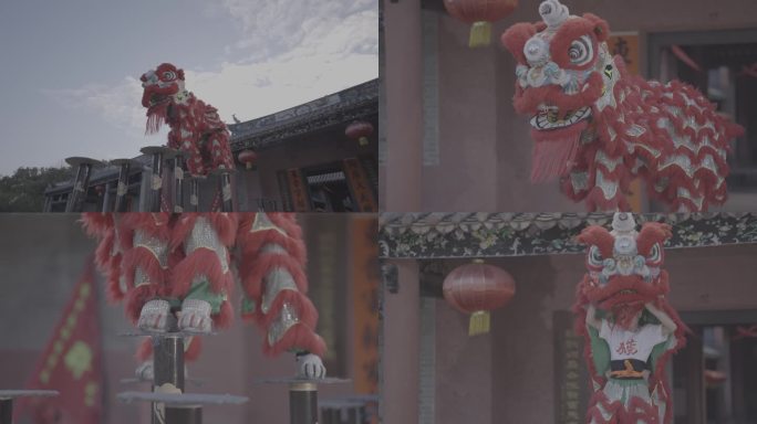 喜庆祥和的舞狮表演