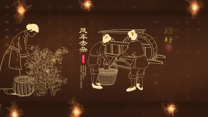 传统油茶榨油工艺线稿动画无插件AE模板