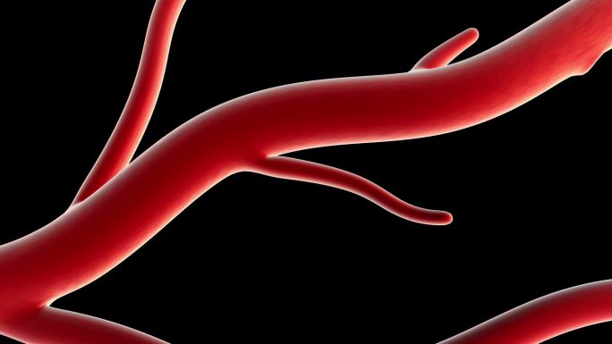 红色血管脉络流动，毛细血管生长