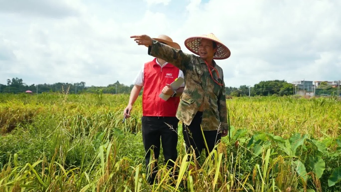 中国人民保险三农服务灾情查勘