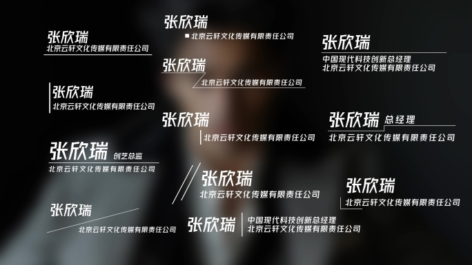 12款商务简约人名字幕条 3