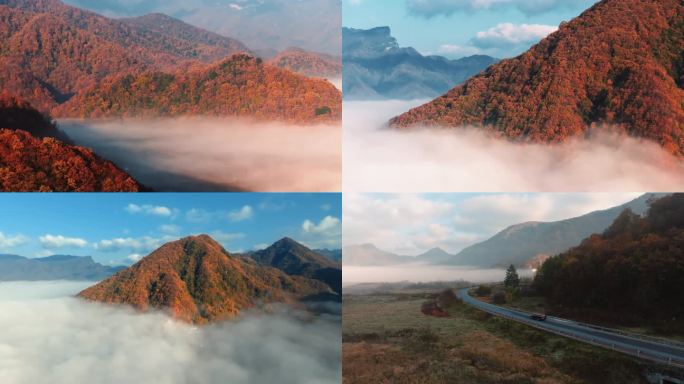 4k神农架大九湖云雾缭绕的秋日山景