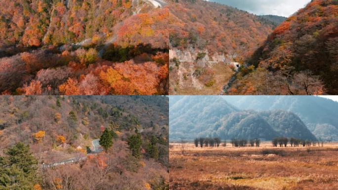 4k神农架秋季山野自然景色