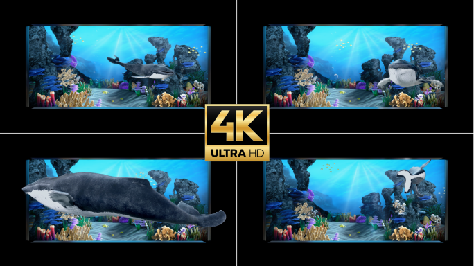 C4D 海底世界 鲸鱼 珊瑚礁