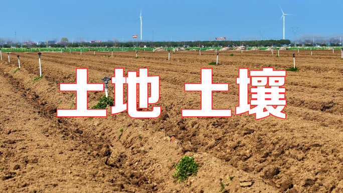 黄土地 耕地 土壤 农田工程