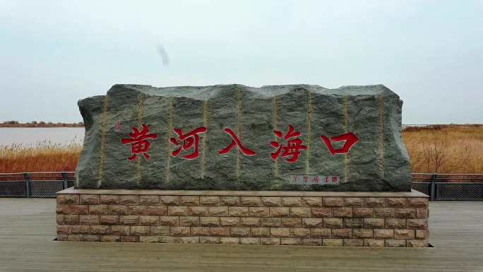 黄河入海口景观
