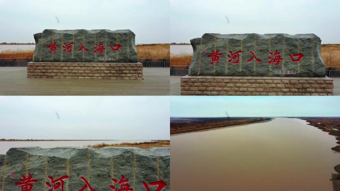 黄河入海口景观