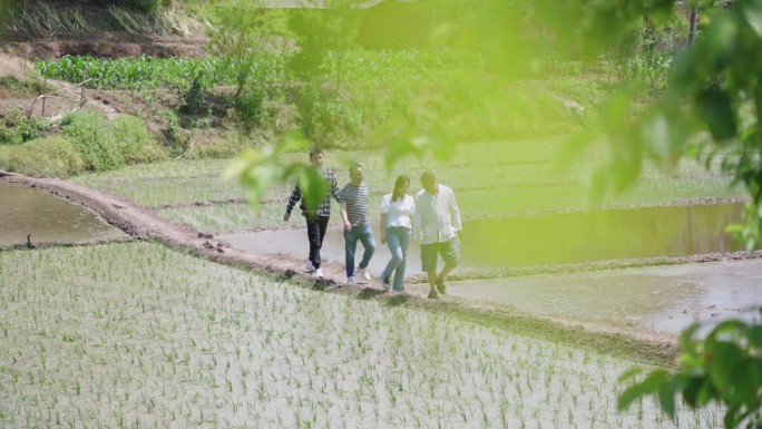 田园风光下的乡村漫步