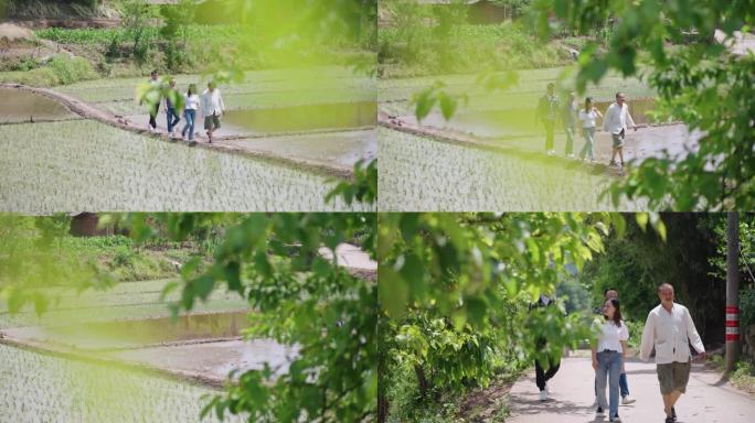 田园风光下的乡村漫步