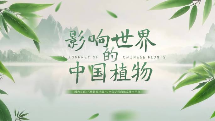 国风简约水墨片头文字片尾