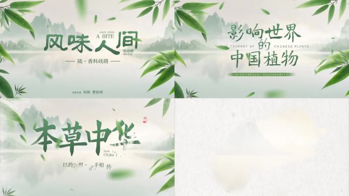 国风简约水墨片头文字片尾