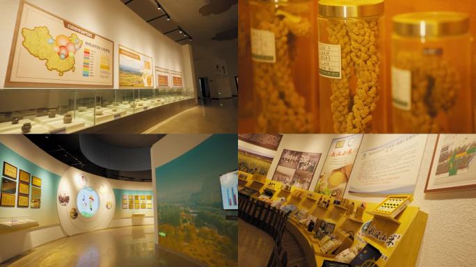 小米博物馆 中国农业文明展览