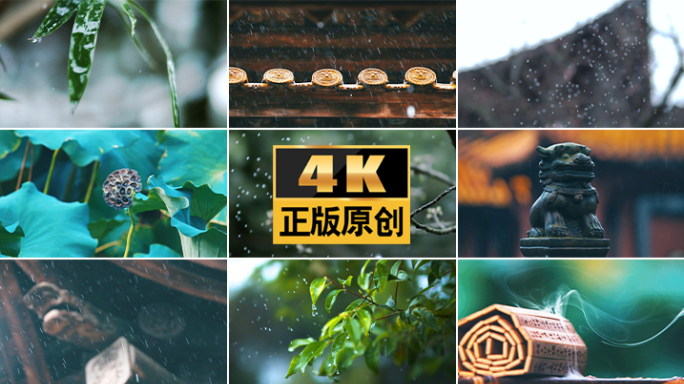 雨清明雨水下雨屋檐雨滴雨景春雨雨天树叶雨