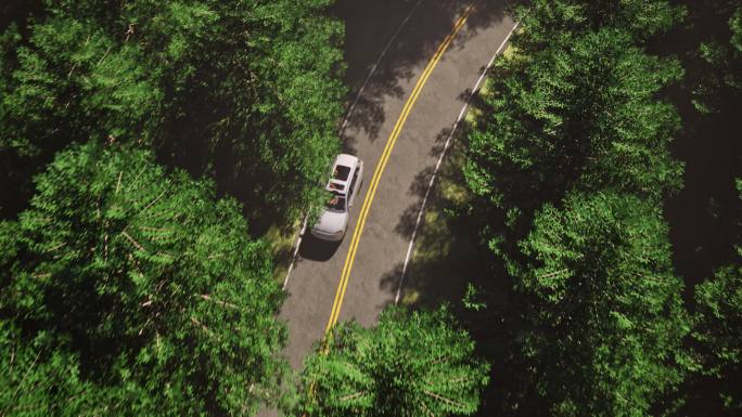 新能源汽车行驶森林公路航拍