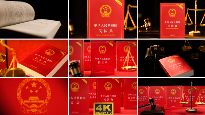民法典法律相关书籍宪法法治建设公平正义