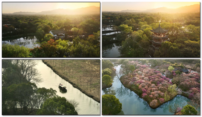 西溪湿地晨雾下的江南水乡
