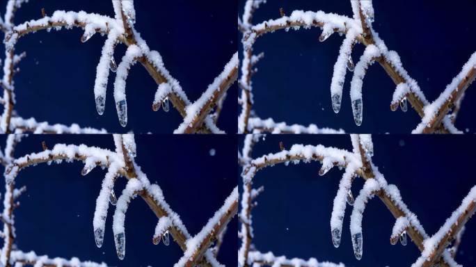 冰雪枝头晶莹剔透