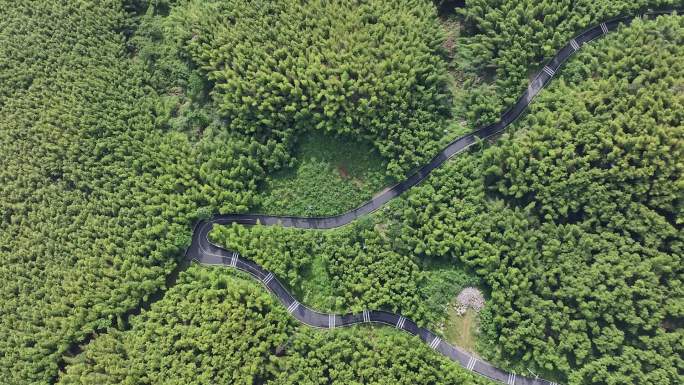 竹海森林公路航拍