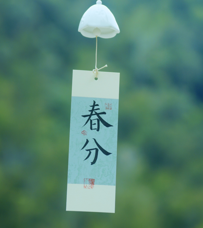 春分竖版｜白鹭飞翔油菜花田园风光春天风景