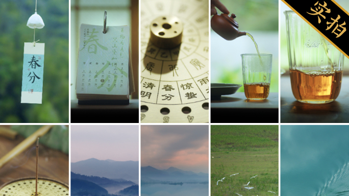 春分竖版｜白鹭飞翔油菜花田园风光春天风景
