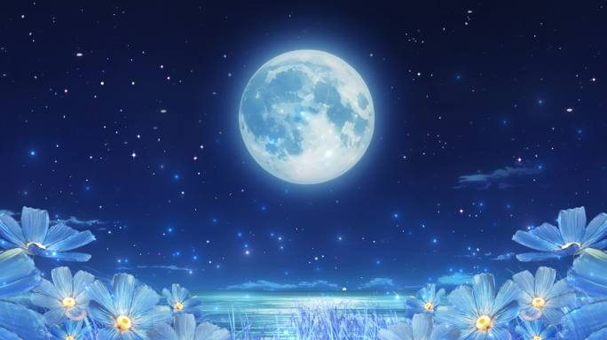 6K蓝色 花海 星空 梦幻 唯美 童话