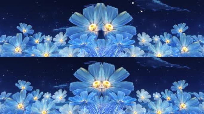 6K蓝色 花海 星空 梦幻 唯美 童话