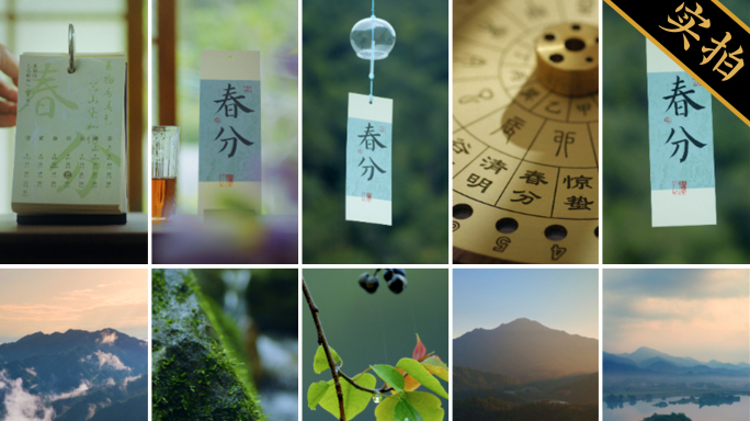 春分竖版｜春天雨后新叶与溪流清新自然生态